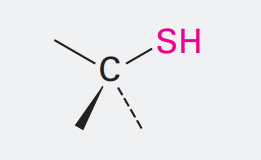 <p>Ending: -thiol</p><p>SH</p><p></p>