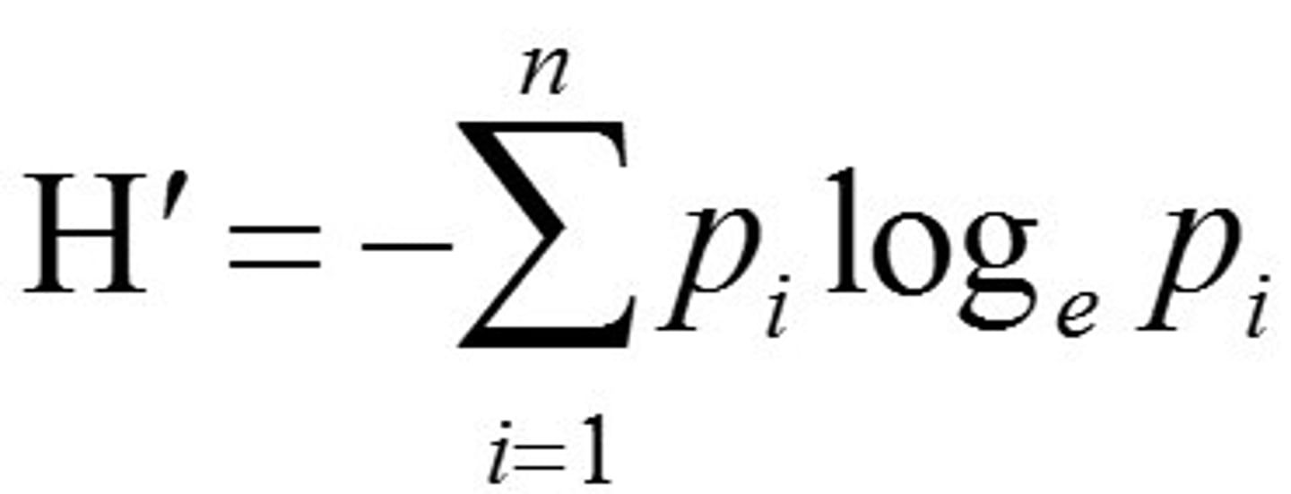 <p>H'= value of Shannon diversity index</p><p>pi: the proportion of the ith species</p><p>loge: natural logarithm (e=2.718) (aka ln)</p><p>S: number of species in the community</p><p>Community with only 1 species: proportion = 1</p><p>loge(1) = 0 -> H' = 0</p><p>H' is always >0</p>