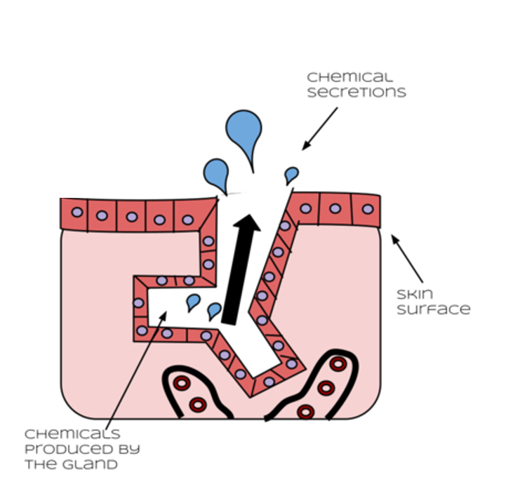 Can you describe what this is?