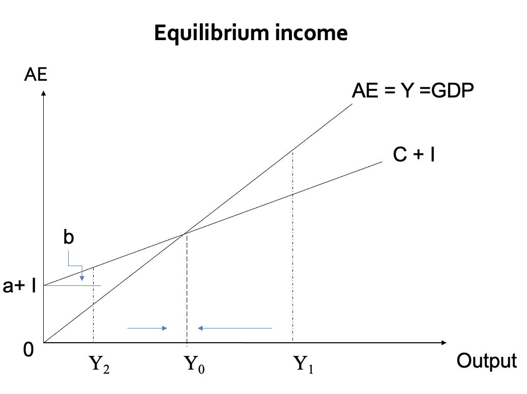 <p><span>The AE = Y line is the set of equilibrium points between expenditure and income</span></p><p><span>The C+I line is the <em>planned</em> (or <em>desired</em>) total expenditure function (AE)</span></p><p><span>At Y<sub>0</sub> planned expenditure is exactly equal to income so Y is constant</span></p><p><span>At Y<sub>1</sub> planned spending is less than output so income will fall back to Y<sub>0</sub> due to lack of demand</span></p><p><span>At Y<sub>2</sub> planned spending exceeds output so firms expend production to Y<sub>0</sub> to meet the excess demand</span></p>