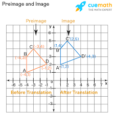 <p>Translation</p>