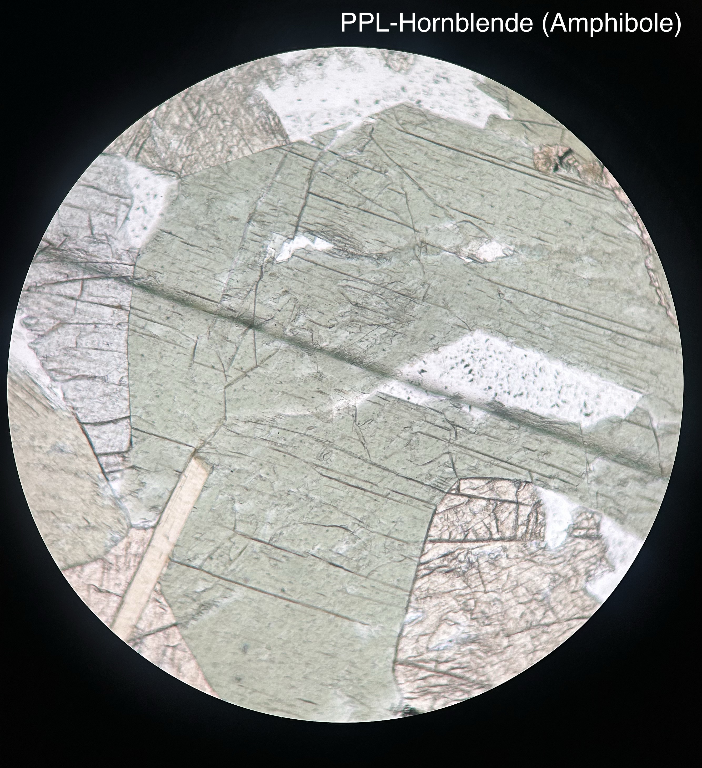 <p>hornblende under the microscope</p>