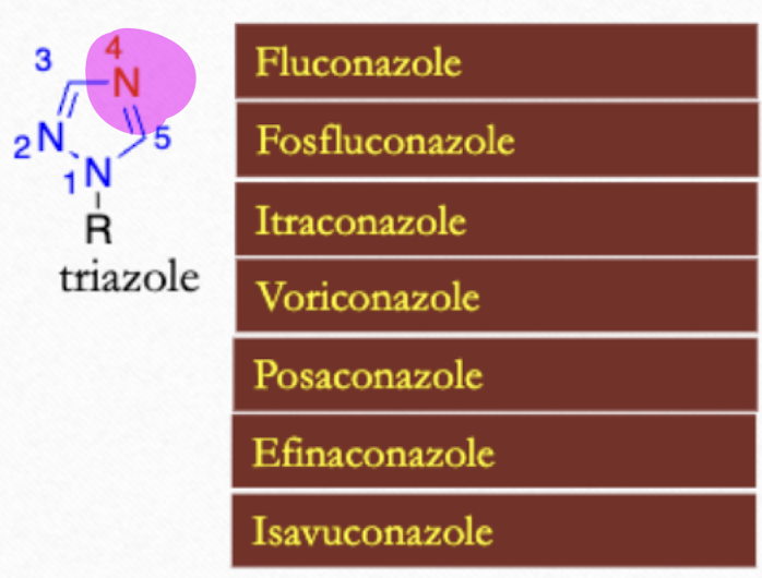 <p>Fluconazole, Fosfluconazole, Itraconazole, Voriconazole, Posaconazole, Efinaconazole, Isavuconazole</p>