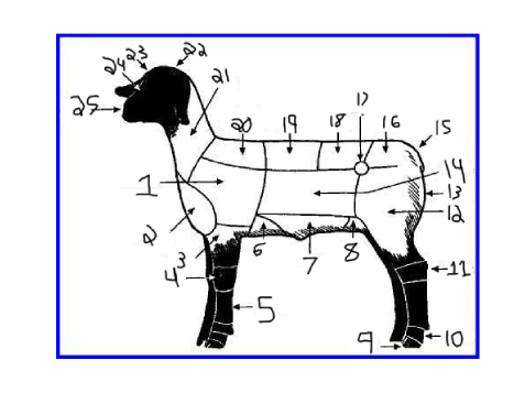 <p>15</p>