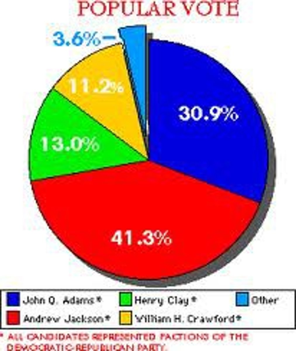 <p>Getting the most votes of all the options but not necessarily the majority of votes.</p>