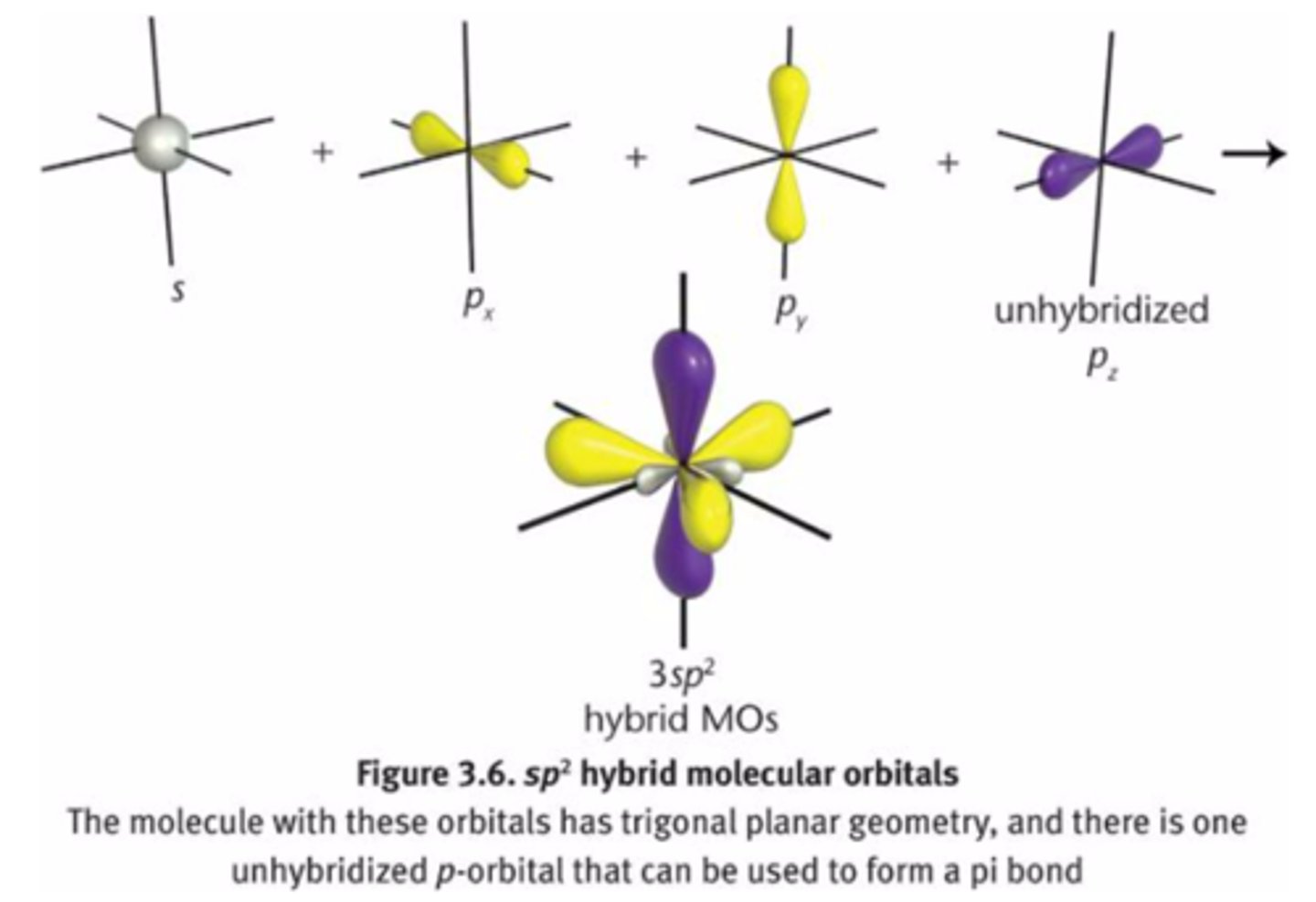 <p>formed by mixing different types of orbitals</p>