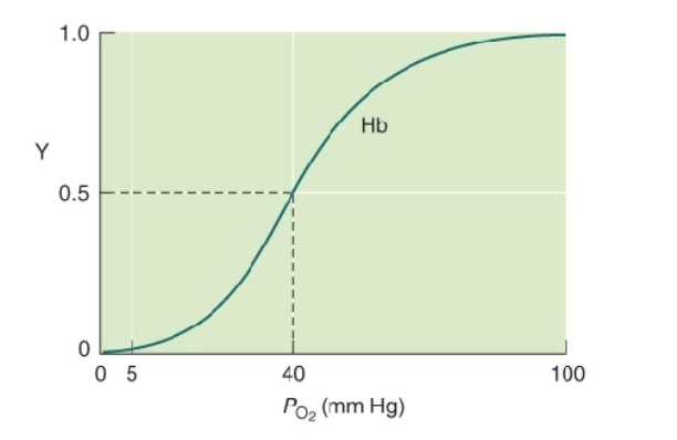 <p>o Y is the fractional saturation</p><p>o S-shape indicates positive cooperativity</p>