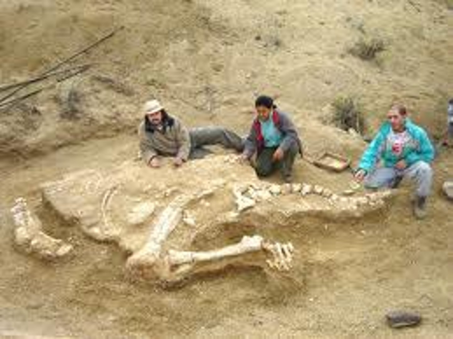 <p>descubrimiento, encuentro / finding, discovery</p>