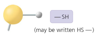 <p>What functional group is this?</p>
