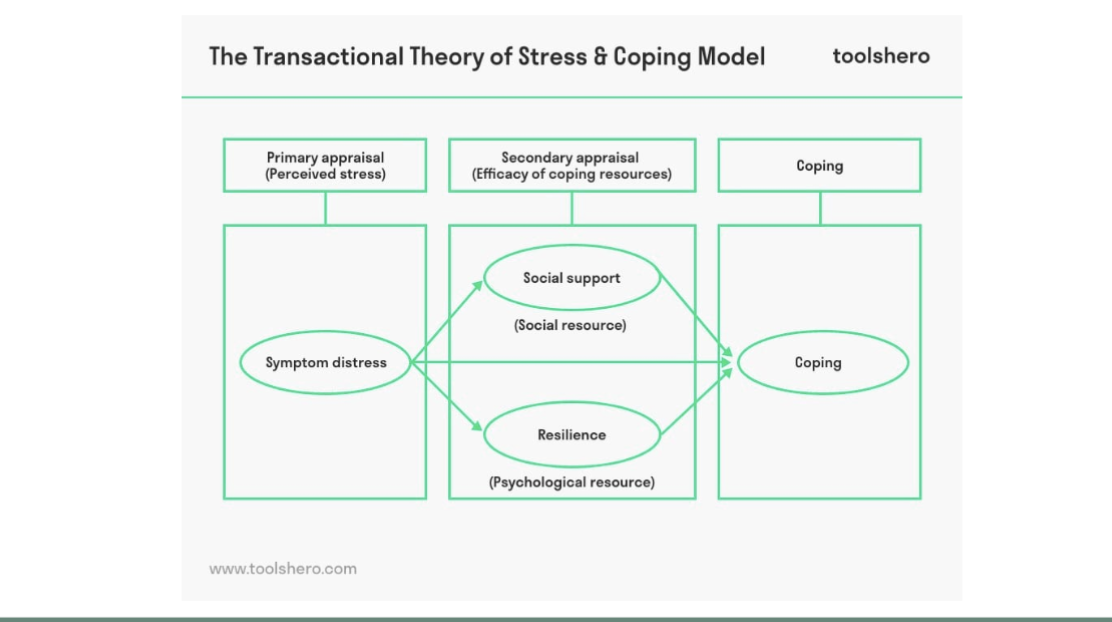 <ul><li><p>Transactional model of stress: outlines how we all assess and approach a stressful situation.</p></li></ul><p></p><p>ON the exam, what is not on the transactional model</p><p></p><ul><li><p>Step 1: Primary appraisal -  initial reaction to a stressor, when you determine whether the stressor presents harm (“Am I OK or am I in trouble?”). If you think you’re OK, then you are likely to move on. If you think you’re in trouble, you intuitively take the next step.</p></li></ul><p></p><ul><li><p>Step 2: Secondary appraisal - allows you to determine how much control you have over the threat (“what can I do now?”). If you feel a lot of control, then you will have minimal stress. Perceiving that you have no control means lots of stress and going to step 3.</p></li></ul><p></p><ul><li><p><span style="color: rgb(255, 255, 255);"><span>Step 3: Coping – deciding what to do about the threat. You base this decision on<br>the situation and everything around you – people, material resources, thoughts,<br>emotions, cost versus benefit of different actions, and so on.<br></span></span></p></li><li><p><span style="color: rgb(255, 255, 255);"><span>Step 4: Reappraisal – Occurs after you have addressed the stressor. At this<br>point, you decide whether the threat still exists. If so, you begin the appraisal<br>process again; if not, you move on.<br>Theories About Stress Responses</span></span></p></li></ul><p><span style="color: rgb(255, 255, 255);"><span><br></span></span></p><p></p>