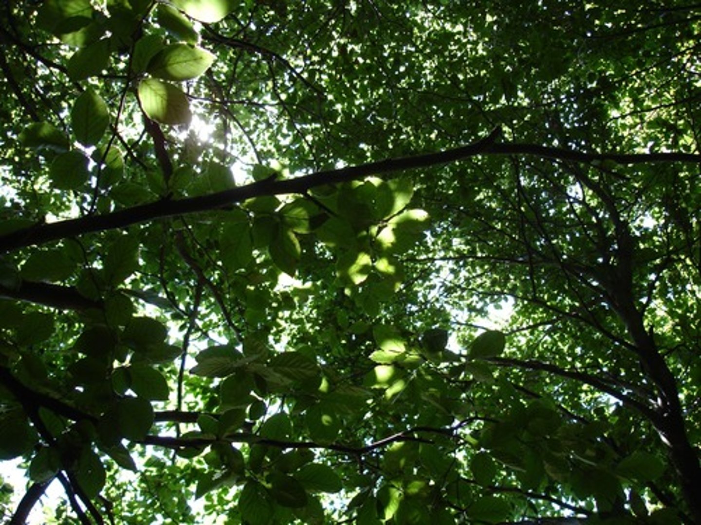<p>an object that is partially camouflaged or seen in low illumination is completed</p>