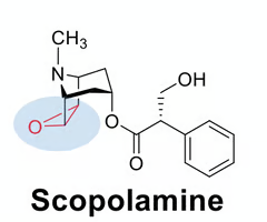 <p>predict if the indicated epoxide will be reactive or non-reactive. why?&nbsp;</p>