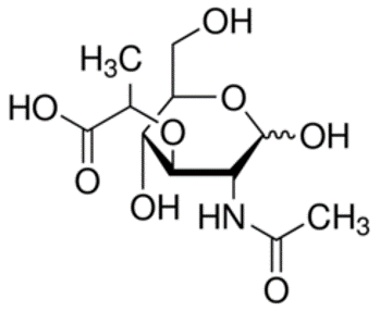 <p>Can you label, describe and explain what this diagram is/shows?</p>