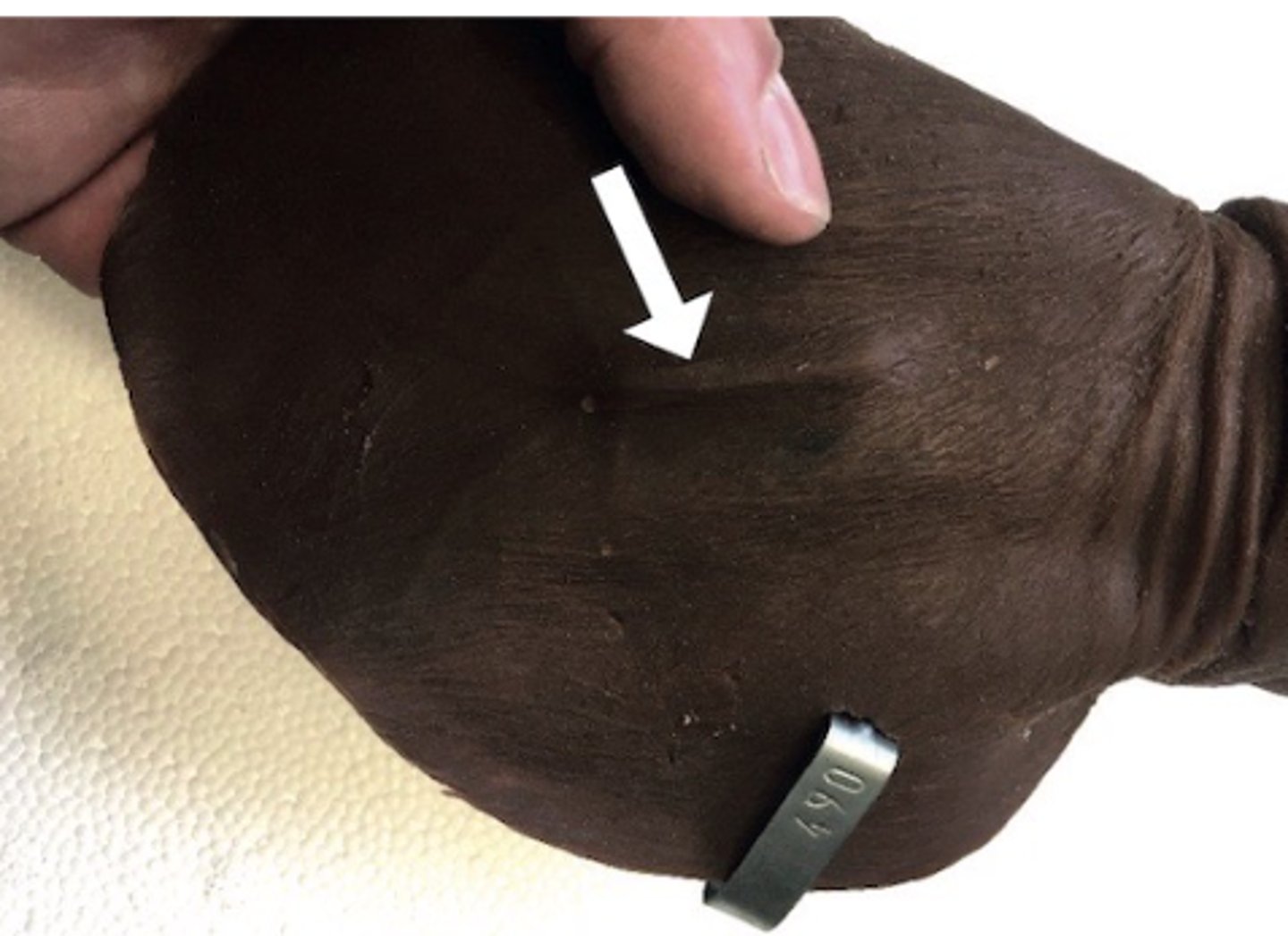 <p>Where do you put implants in calves?</p>