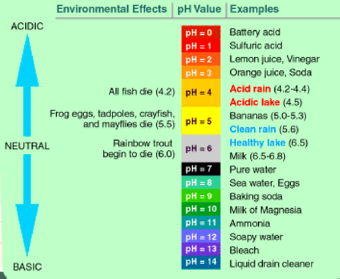 <p>used to describe the acidity and basicity of a solution. (6 and lower = more acidic, 7 - pure water, 8 and higher = more basic)</p>