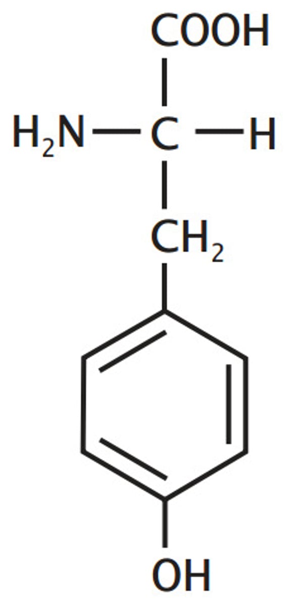 <p>aromatic, polar</p>