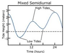 <ul><li><p>can have two episodes of high or low water per day</p><ul><li><p>two high or low tides are unequal</p></li></ul></li><li><p>can either include both sets of unequal high or low waters or only one set of unequal high or low water</p></li><li><p>occurs when the moon is extremely far north or extremely far south of the equator</p></li></ul>