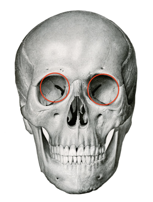 <p>what is this skull feature? </p>