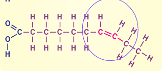 <p>Usually liquid at room temperature, found in plant products like nuts, oils, and fish, has DOUBLE bonds that usually depicted as BENT</p>