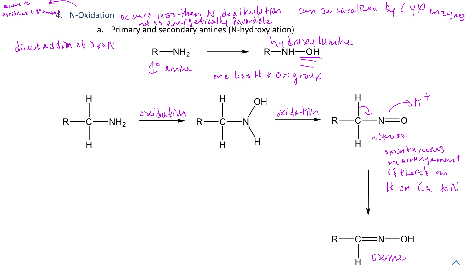 <p>A type of reaction in phase 1 metabolism that can hydroxylate the nitrogen of any degree amine </p><p>-In 1° amines, the amine will become an <em>hydroxylamine</em> which can be further oxidized into a <em>nitroso group</em> </p><p>-The nitroso group can also be <em>spontaneously rearranged into an oxime</em></p>