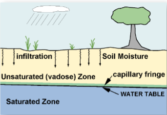 <p>the upper boundary of the zone of saturation</p>