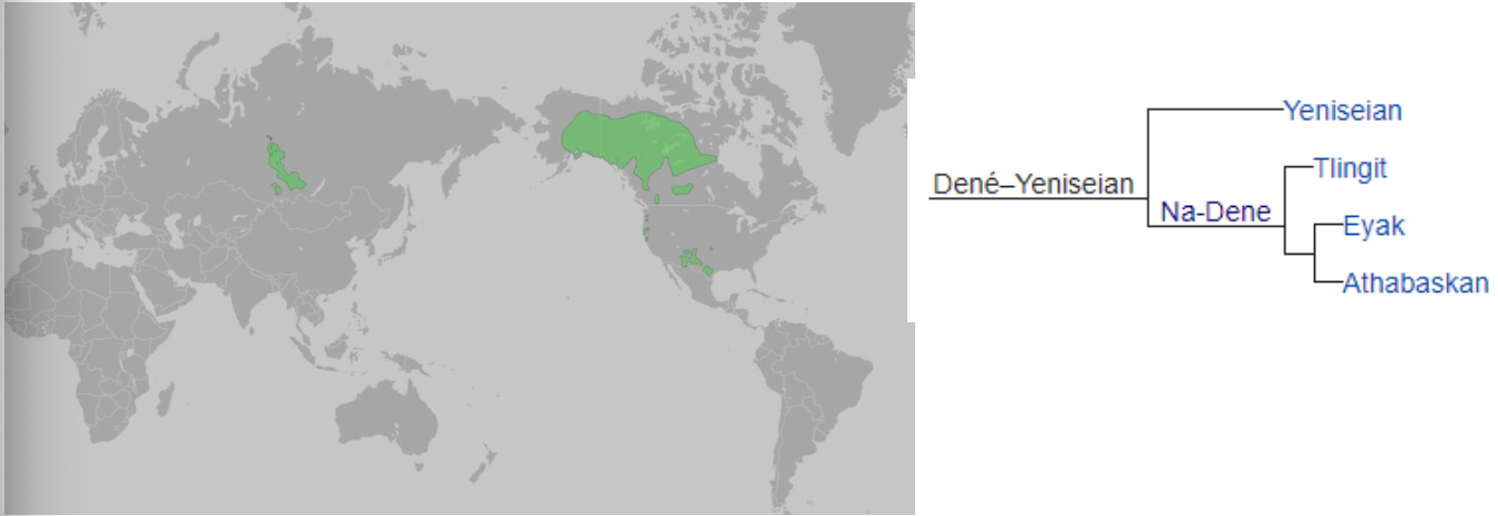 <p>Recently (2022), the <strong>Yeniseian</strong> languages of central Siberia were convincingly argued to be related to the other Na-Dene <span>languages, thus forming an even larger </span><strong><span>Dene-Yeniseian</span></strong><span> phylum</span></p><ul><li><p class="p1">Approx. 140 cognates found between Proto-Dene and Ket (Siberia), the only remaining Yeniseian language</p></li><li><p class="p1">~500 speakers</p></li><li><p class="p1">Recent work in genetics seems to support the hypothesis</p></li><li><p class="p1">When proposed to Dene students not well accepted</p></li></ul><p></p>
