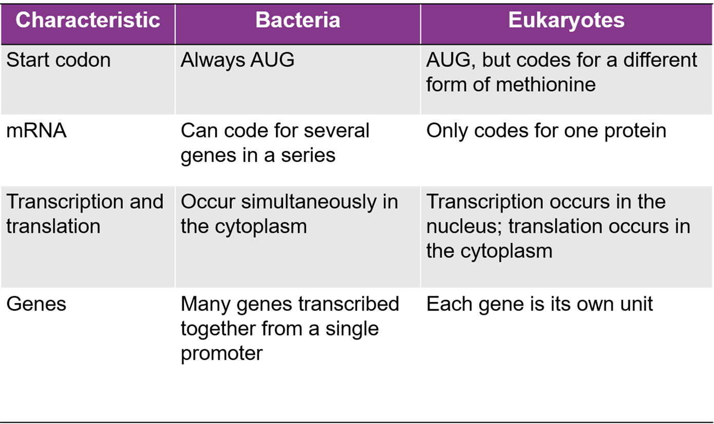 Module 7 Microbial and Engineering Flashcards Knowt