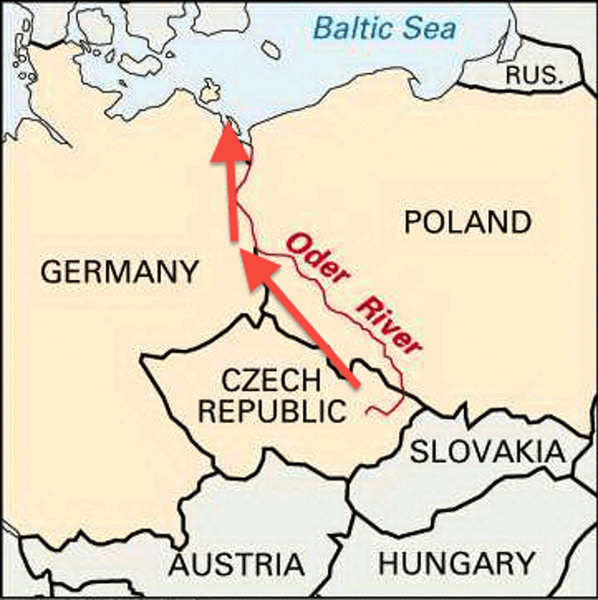 <p>Sorry for label, no other options</p>