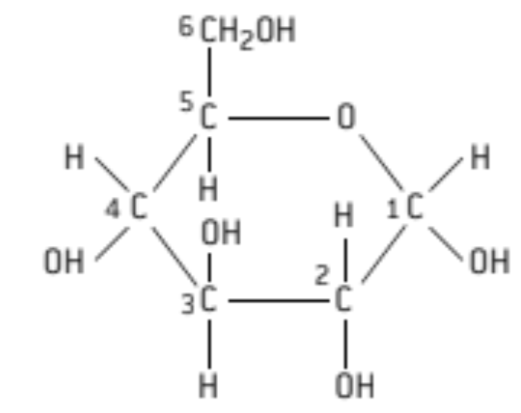 <ul><li><p>hexagon</p><ul><li><p>5Cs and 1O</p></li></ul></li><li><p>C #5 has a CH2OH</p></li><li><p>C #3 has a OH on top</p></li></ul>