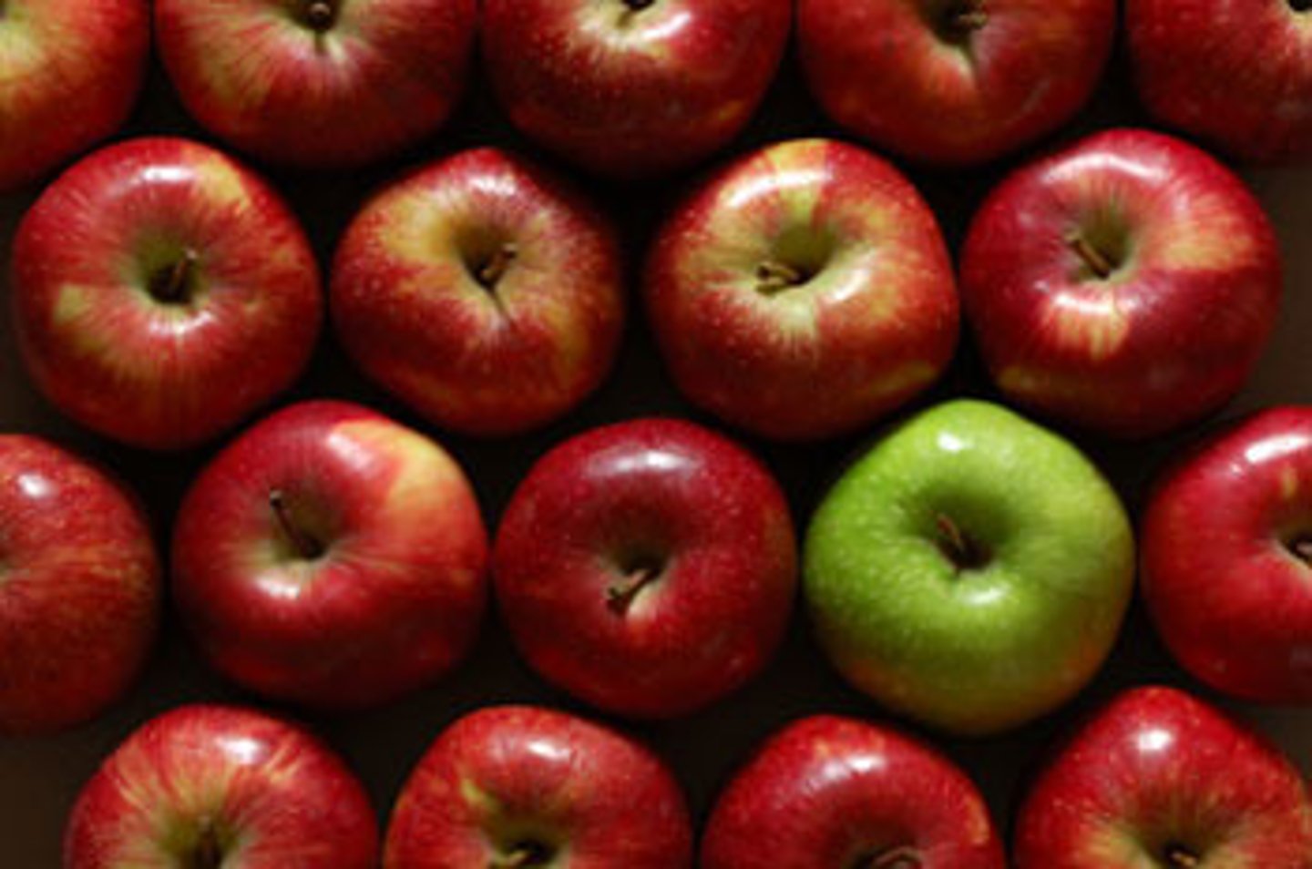<p>noun of 'contrast' (v)</p>