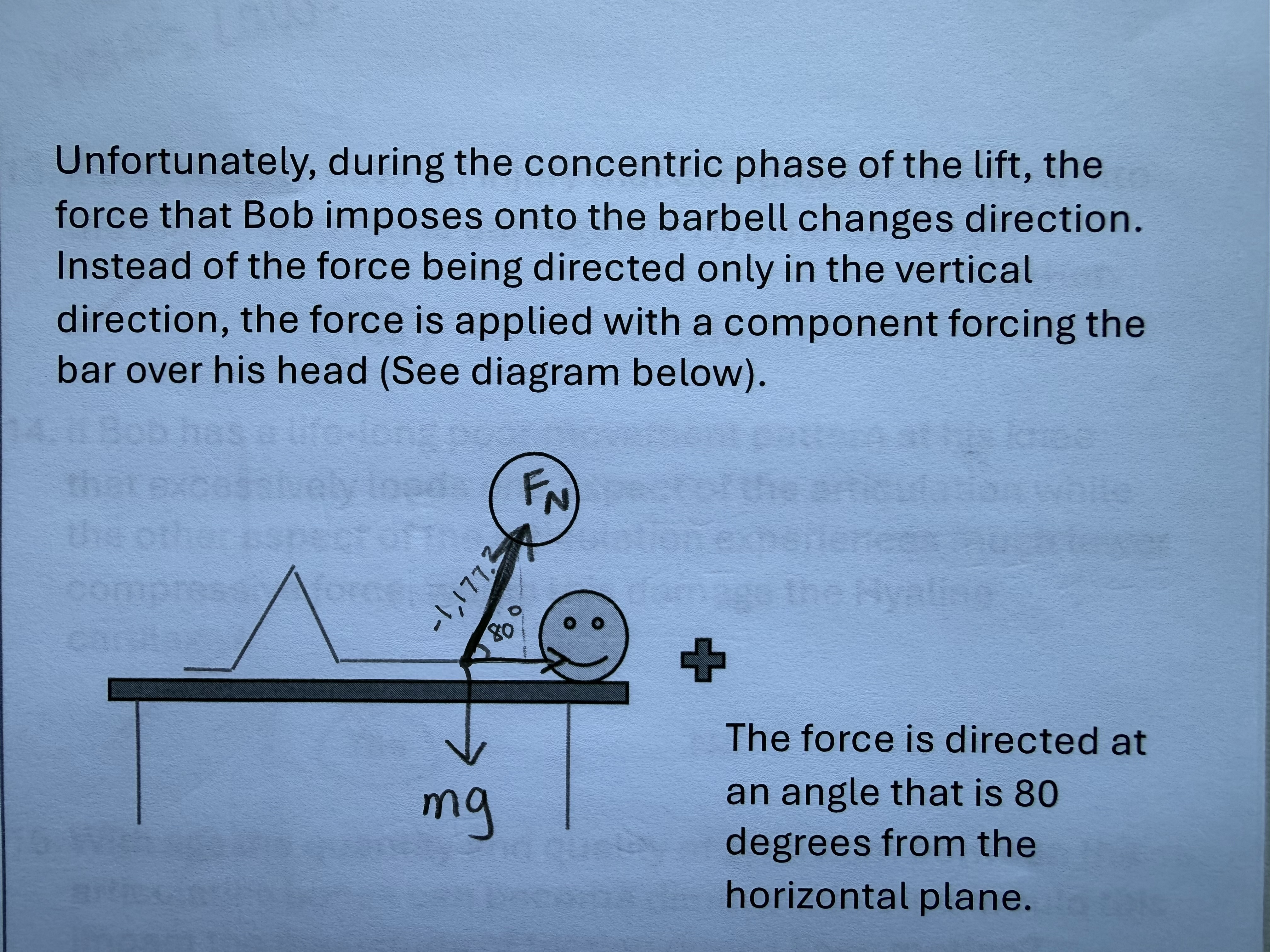 <p>Determine the force that is acting in the (+) horizontal direction</p>