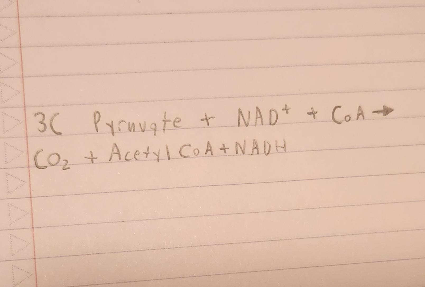 <p><strong>Which diagram is this?</strong></p>