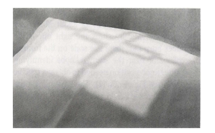 <p><strong>What does the Light Field and Cross-hairs represent?</strong></p>