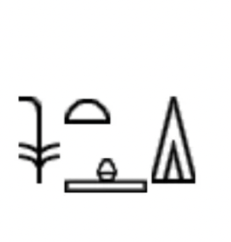 term image