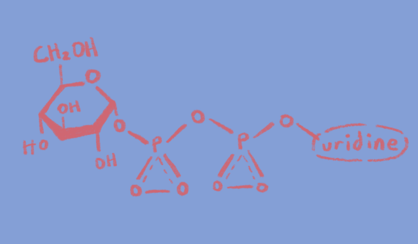 <p>What molecule is this?</p>