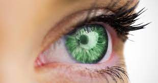<p>Green (eyes)</p>