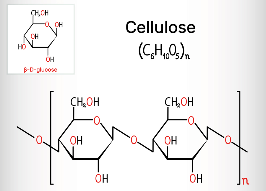<p>cellulose (fiber)</p>