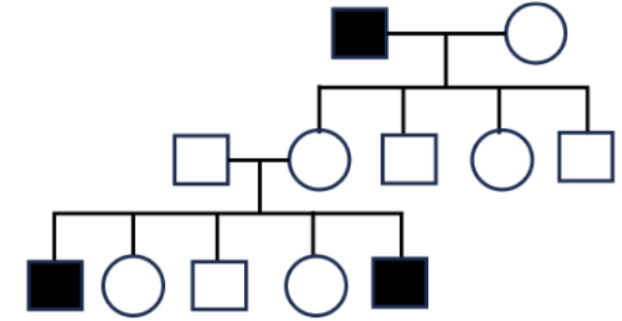 <p>Below is a pedigree of a rare disease. What would be the most likely inheritance mode?</p>
