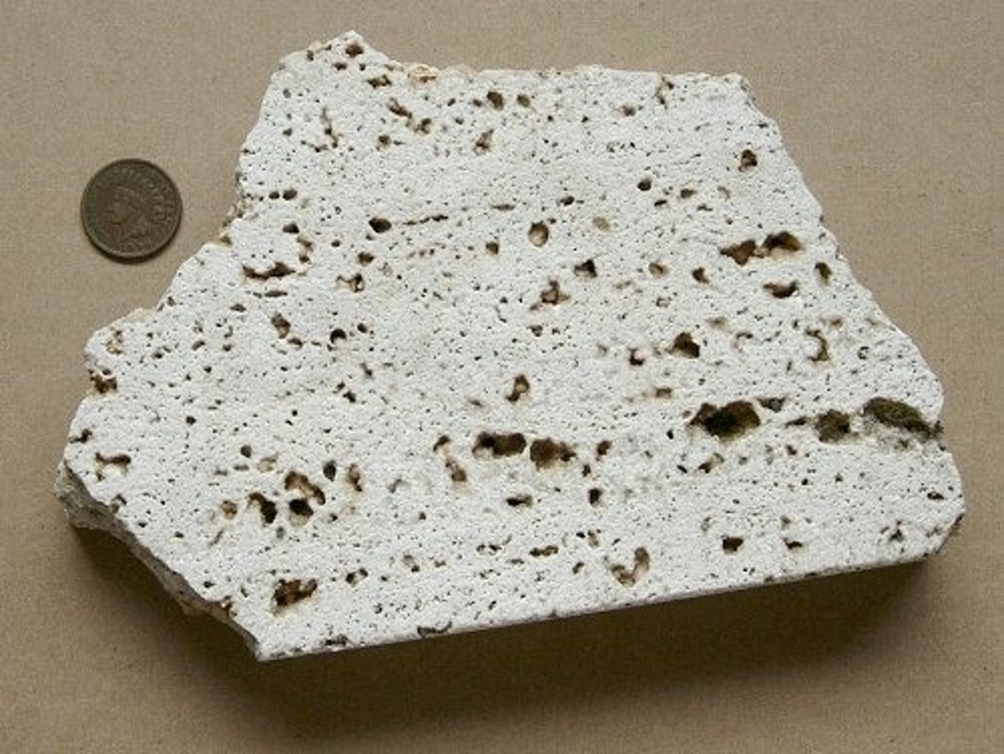 <p>form of limestone that is formed as a chemical sedimentary rock</p>