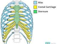 <p>What is the costal region?</p>