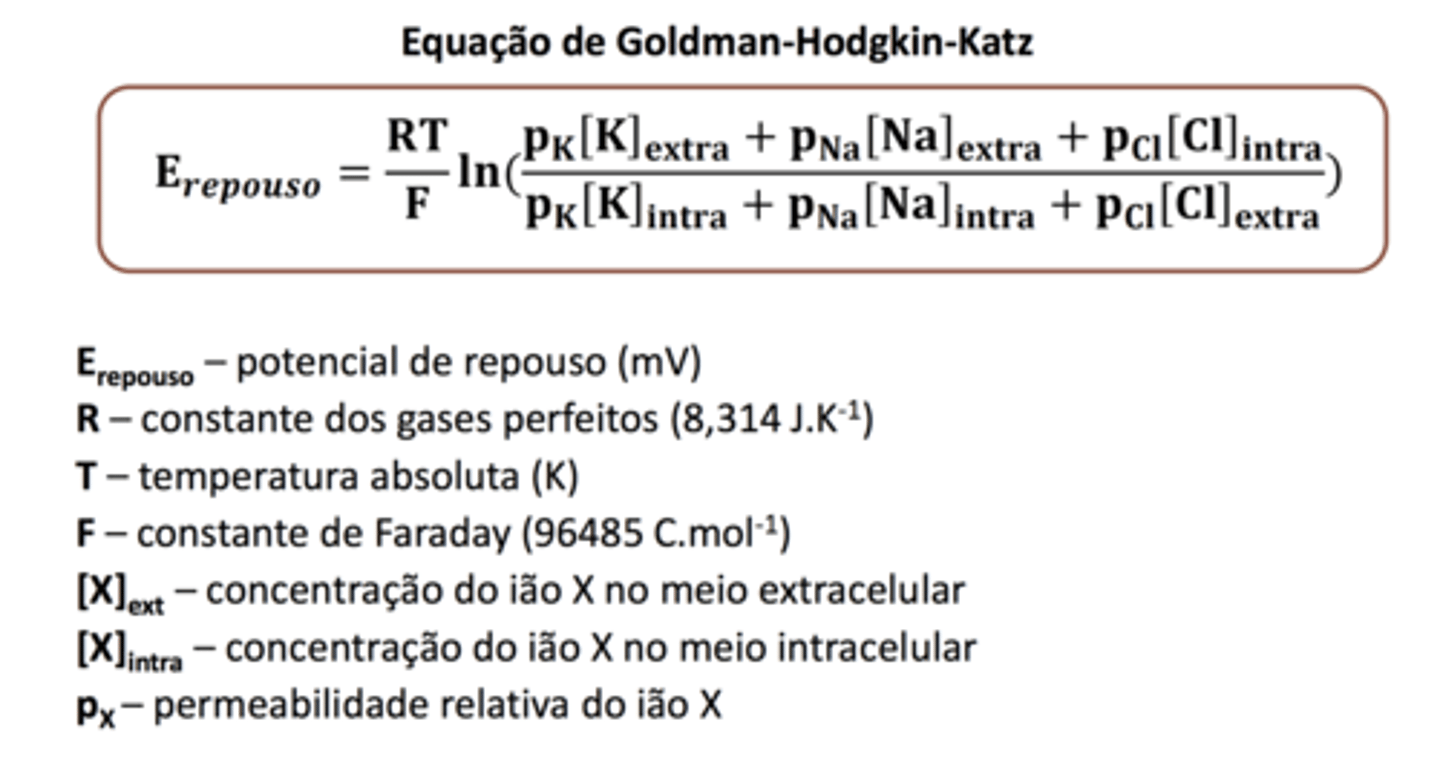<p>permeabilidade de um ião é diretamente proporcional ao nº de canais abertos para esse ião</p>