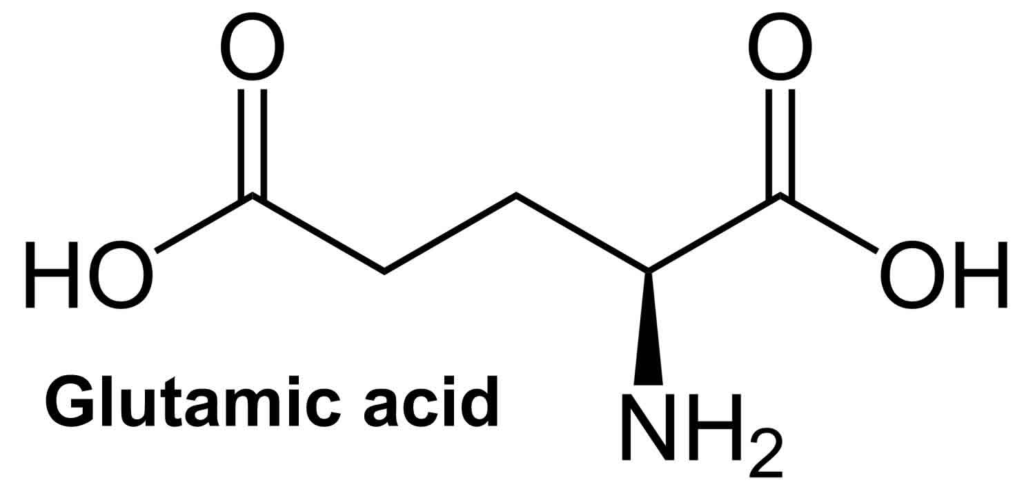 <p></p>