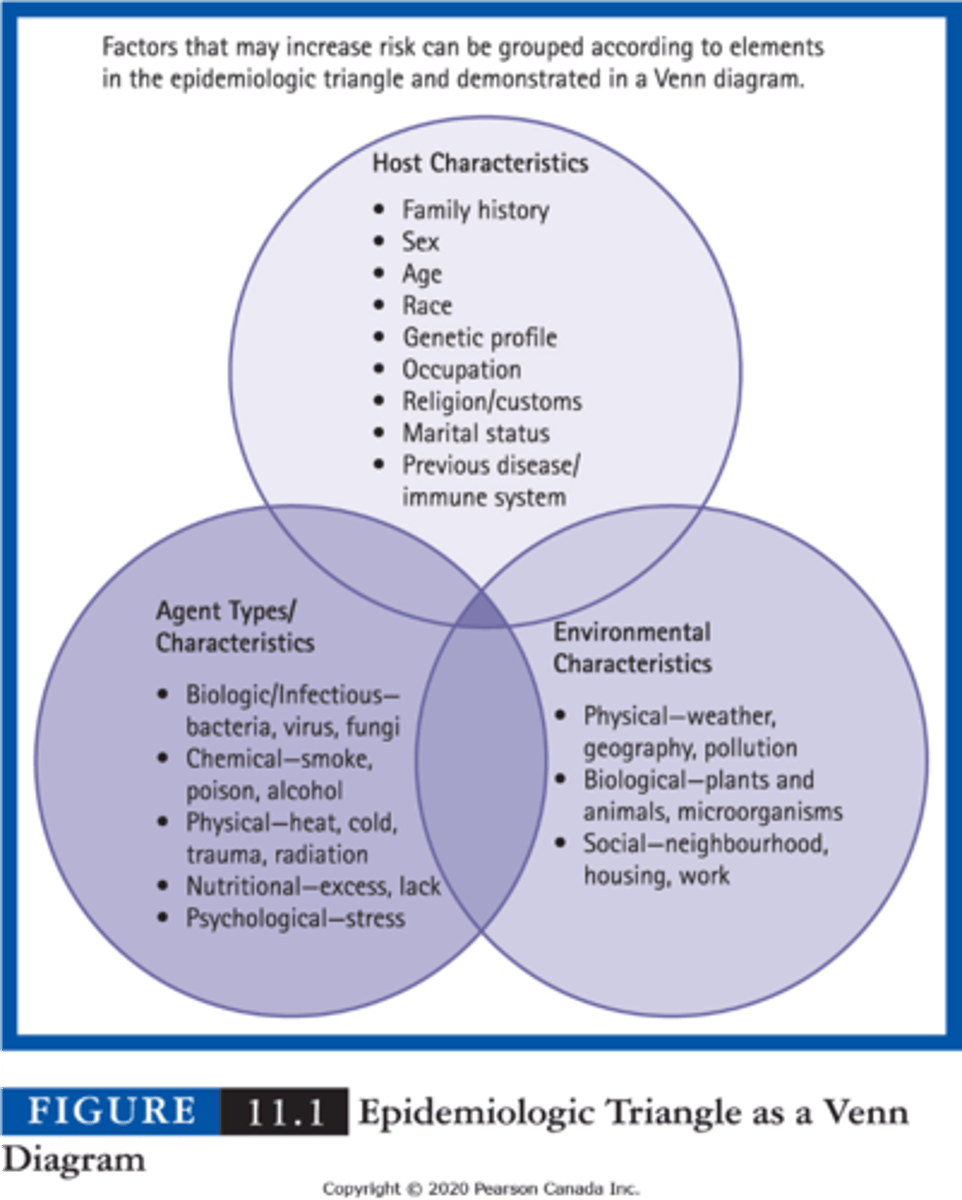 <p>host: human being in which disease occurs</p><p>agent: contagious/ non-contagious force that begins or prolongs a health problem</p><p>environment: context that promotes the epos sure of the host to the agent</p>