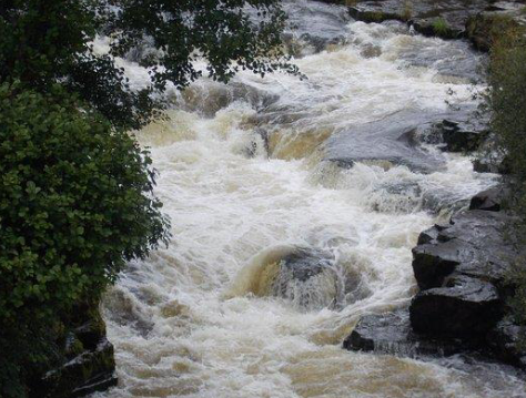 <p>Two key physical forces affecting aquatic biota:</p><ul><li><p>Flow </p></li><li><p>Substrate (these are interlinked)</p></li></ul><p></p><p>Biota adapt to avoid being swept downstream</p><p>Adaptions:</p><ul><li><p>attachment structures</p></li><li><p>modified shape </p></li><li><p>behaviour</p></li></ul><p></p>