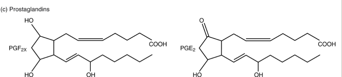 <p>What is this?</p>