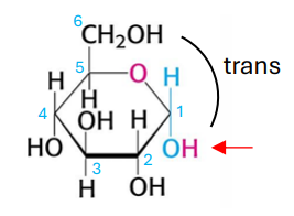 <p>which glucose form is this?</p>