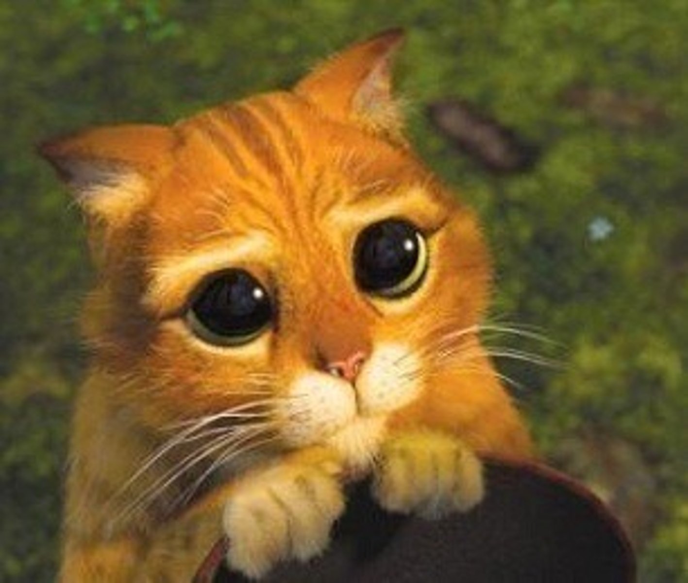 <p>to want</p>
