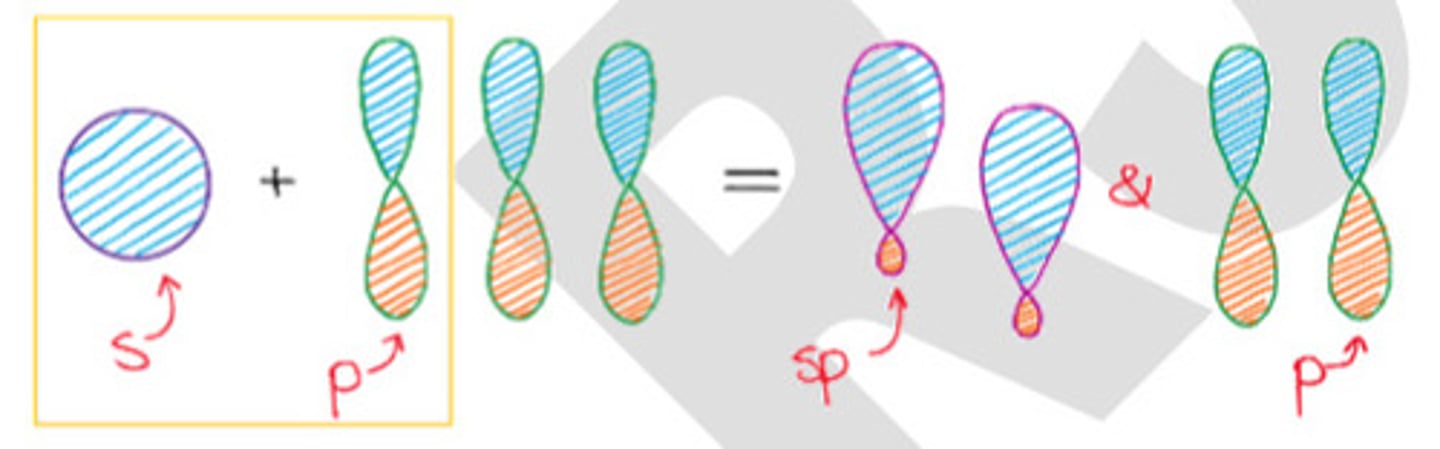 <p>c. sp hybridization</p>