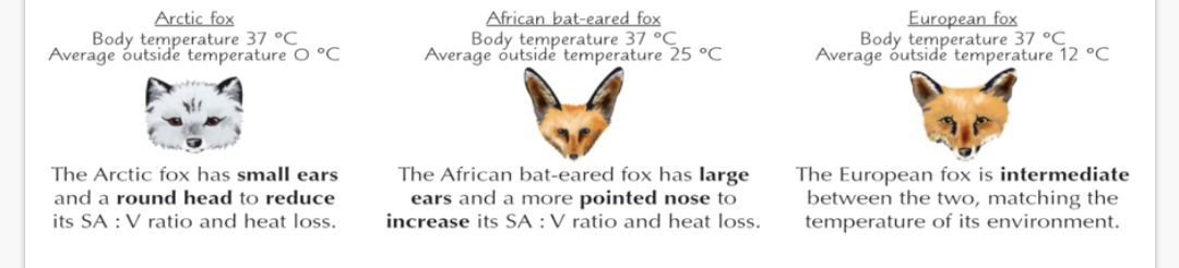 <p>1.small. 2.larger. 3.increases</p>