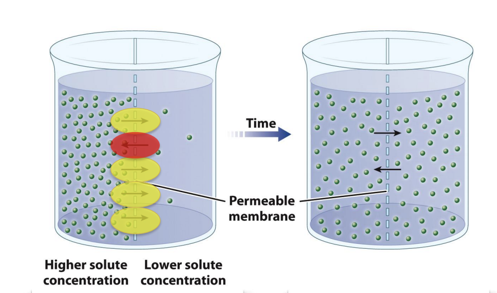 <p>What does this image show?</p>